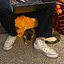 Wren is registered to the contest to win money with this photo: blanket, carpet, casual, cat, clothing, converse, cozy, floor, hands, home, indoor, laptop, person, pet, relaxed, resting, sitting, sneakers, tattoo, technology