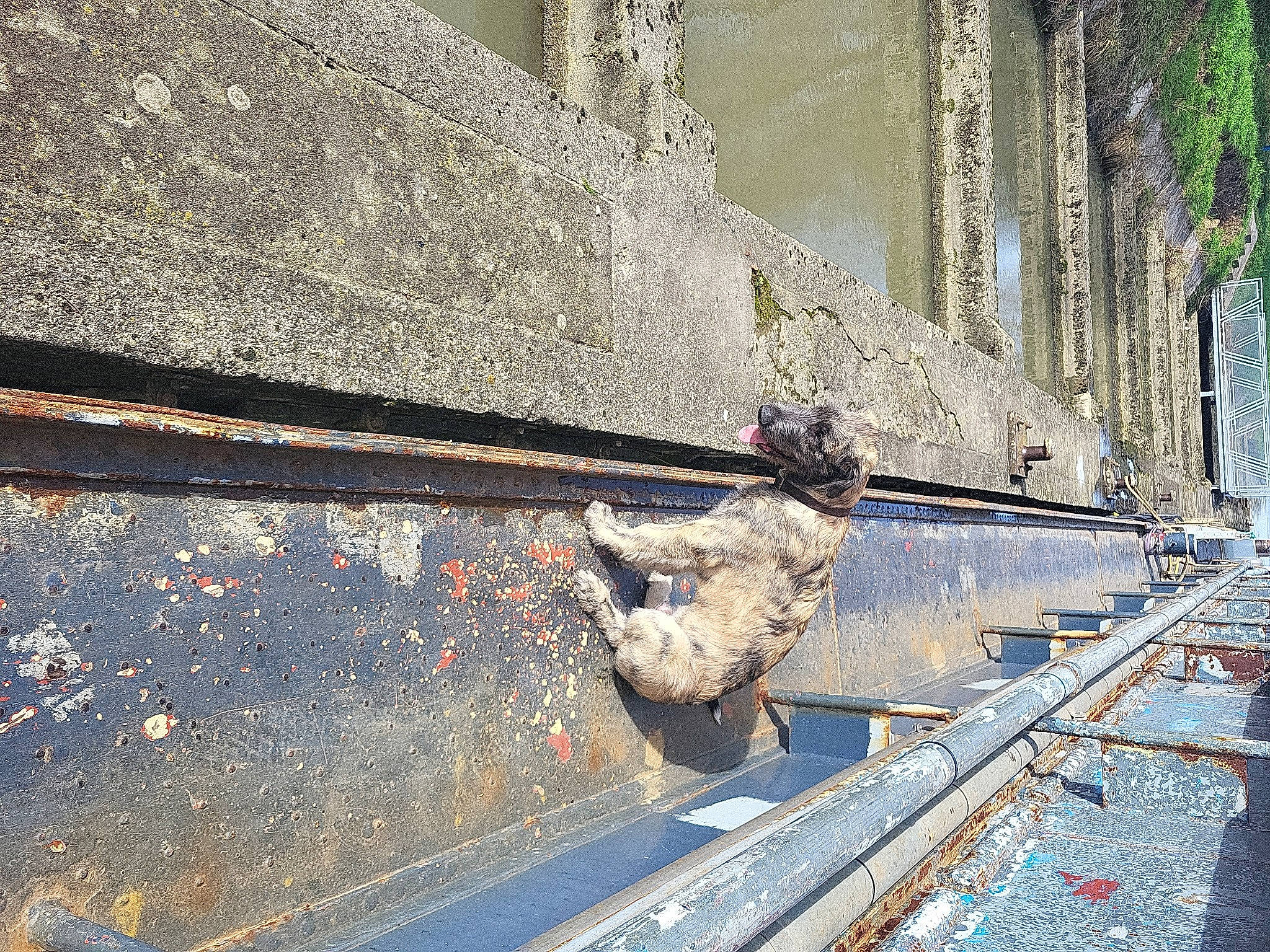 Uther a rejoint le concours — aidez-le/la à gagner de superbes lots ! asphalt, cement, city, cobblestone, composite_material, concrete, curb, facade, flooring, metal, pipe, road, road_surface, roof, shadow, sidewalk, stairs, street, water, wood