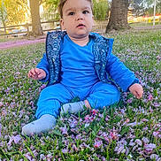 Elias participe au concours pour gagner de l'argent avec cette photo : blue_clothing, casual_wear, child, curious, cute, daylight, flower_petals, grass, nature, outdoor, park, playful, relaxed, scenic, seasonal, sitting, sunlight, toddler, trees, young_child