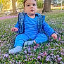 blue_clothing, casual_wear, child, curious, cute, daylight, flower_petals, grass, nature, outdoor, park, playful, relaxed, scenic, seasonal, sitting, sunlight, toddler, trees, young_child