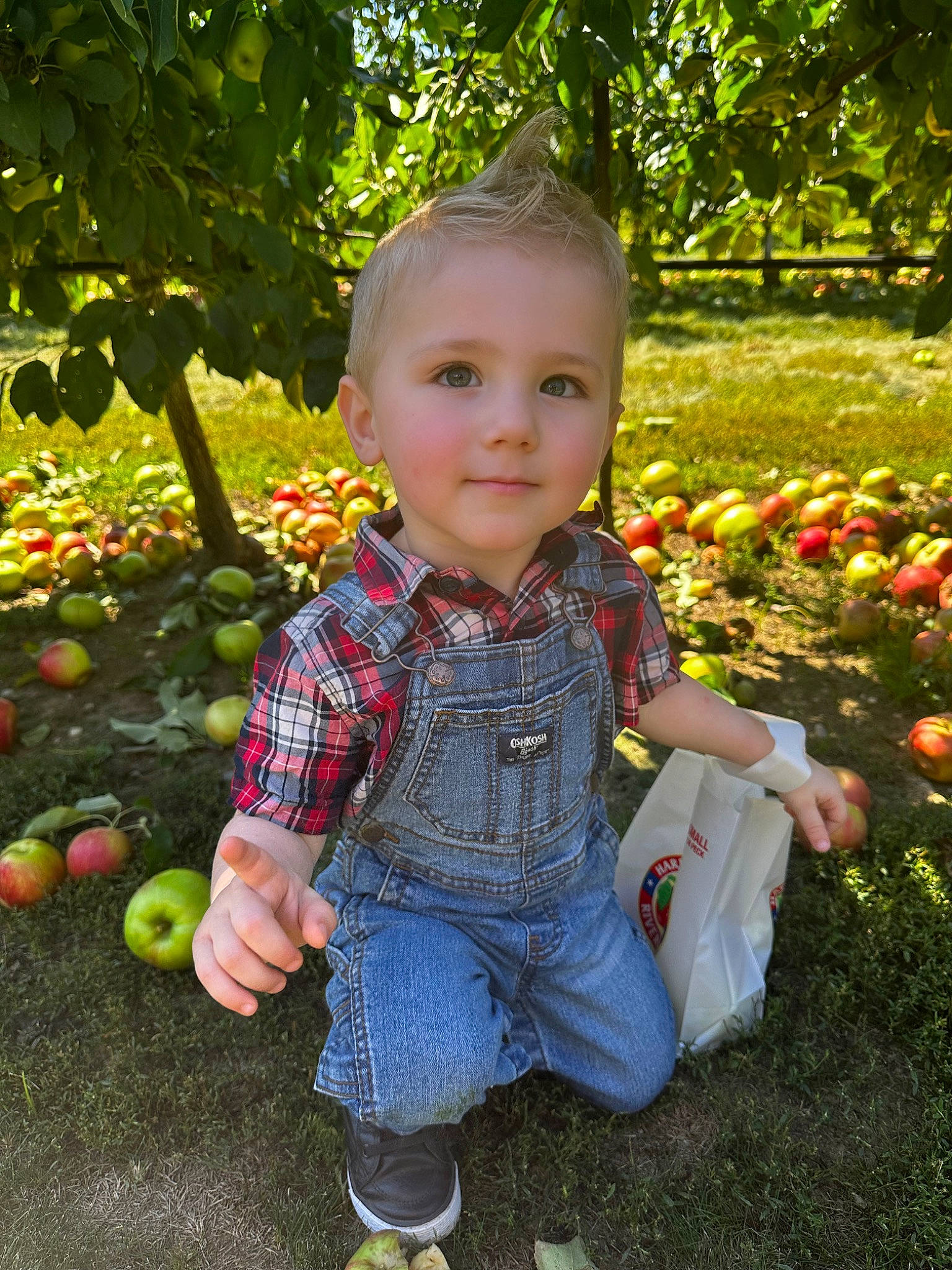 Zachary joined the competition — help win amazing prizes! baby, baby_toddler_clothing, botany, child, fruit, fun, garden, grass, happy, joy, leaf, leisure, natural_foods, people_in_nature, person, plant, smile, sneakers, summer, toddler