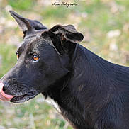 Gaufrette participe au concours pour gagner de l'argent avec cette photo :