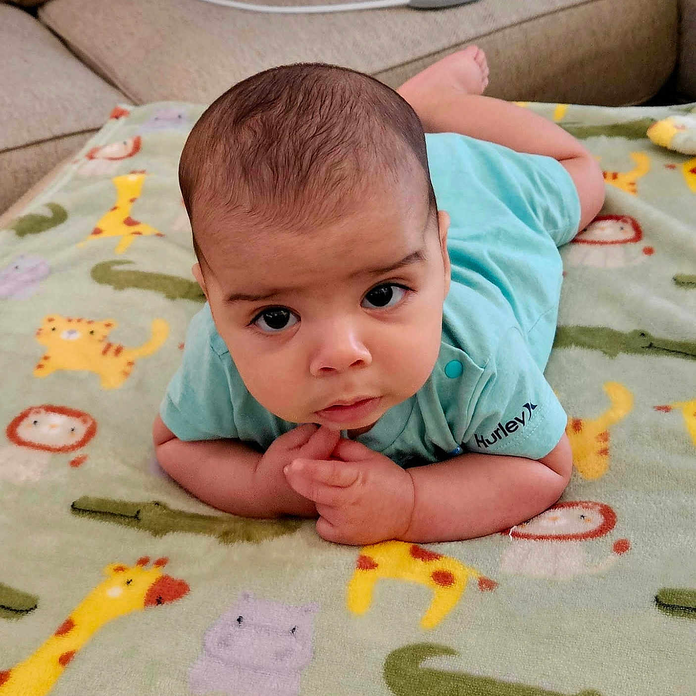 Noah