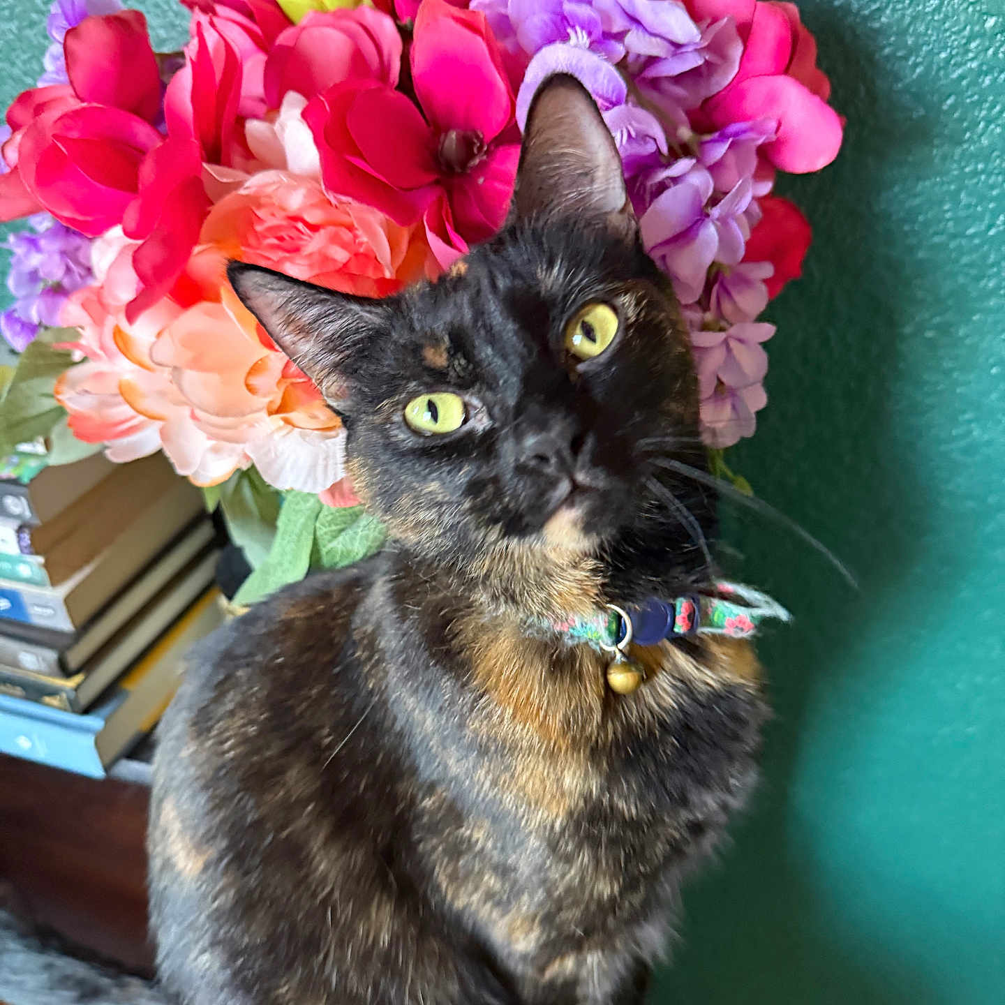 Peanut joined the competition — help win amazing prizes! bell, books, cat, closeup, collar, colorful, curious, domestic_animal, feline, floral_pattern, flower_bouquet, green_wall, indoor, pet, portrait, sitting, tortoiseshell, whiskers, wooden_surface, yellow_eyes