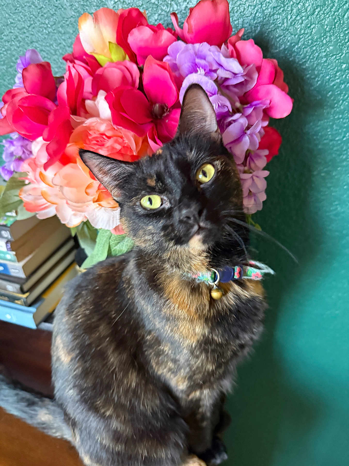 Peanut joined the competition — help win amazing prizes! cat, tortoiseshell, flower_bouquet, collar, bell, yellow_eyes, indoor, green_wall, books, wooden_surface, pet, feline, curious, sitting, closeup, domestic_animal, colorful, floral_pattern, portrait, whiskers