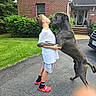 boy, brick_house, car, child, dog, driveway, front_yard, great_dane, greenery, house, hugging, kissing, lawn, outdoor, pet, portrait, red_shoes, shorts, summer, white_shirt