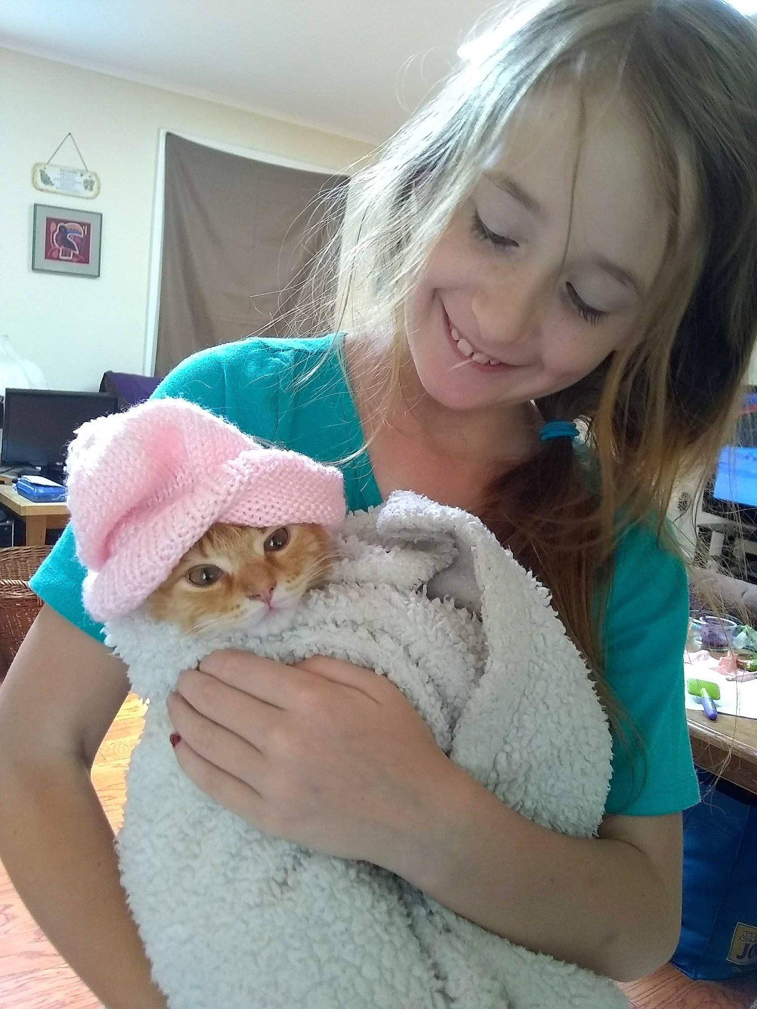 Pumpernickel joined the competition — help win amazing prizes! barn_owl, cat, child, ear, felidae, fur, nose, owl, textile