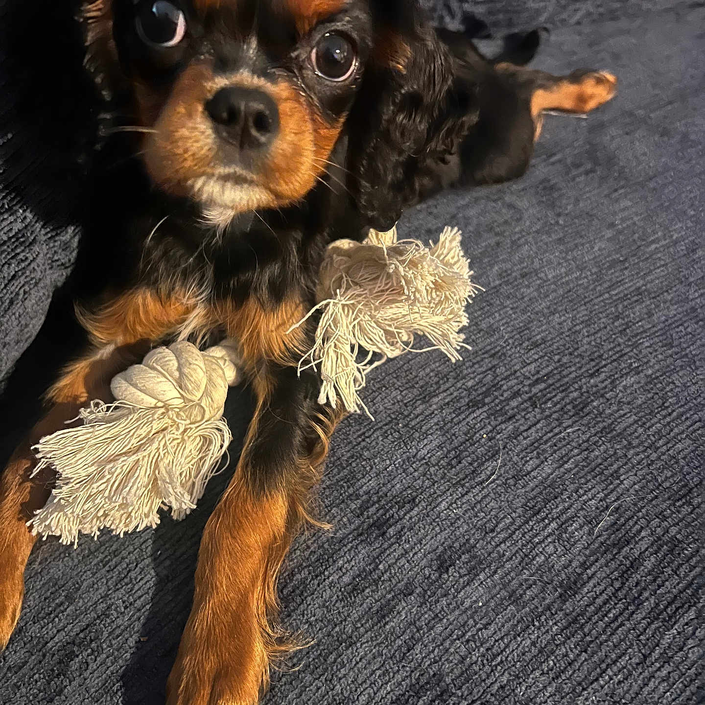 Odin