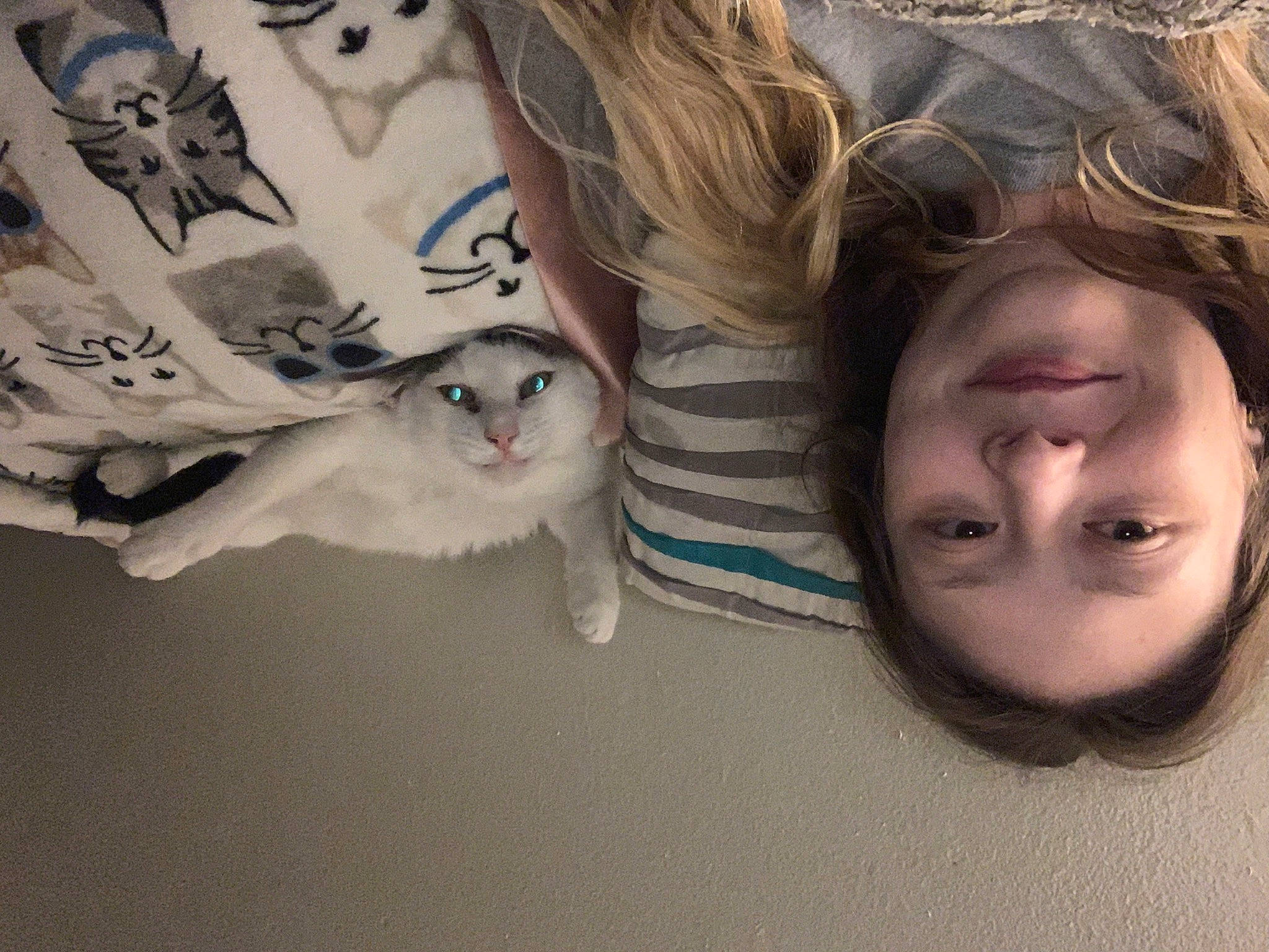 Diego joined the competition — help win amazing prizes! carnivore, cat, companion_dog, cool, eye, eyebrow, eyelash, fawn, felidae, gesture, happy, iris, long_hair, mammal, selfie, small_to_medium_sized_cats, tail, tree, vertebrate, whiskers