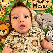 Vince joined the competition — help win amazing prizes! baby, infant, child, portrait, lying_down, wide_eyed, open_mouth, safari_theme, stuffed_animals, giraffe, lion, elephant, zebra, jungle, tropical, leaves, wooden_sign, three_months, animal_print_clothing, indoor