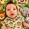 baby, infant, child, portrait, lying_down, wide_eyed, open_mouth, safari_theme, stuffed_animals, giraffe, lion, elephant, zebra, jungle, tropical, leaves, wooden_sign, three_months, animal_print_clothing, indoor