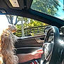 dog, car_interior, steering_wheel, driver, hand, sunlight, window, trees, daytime, seat, fur, pet, road_trip, vehicle, outdoor, leisure, transportation, nature, bright, motion