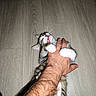cat, kitten, hand, floor, wooden_floor, paw, bite, playful, pet, animal, domestic_animal, fur, claws, person, skin, tattoo, indoor, closeup, interaction, grip