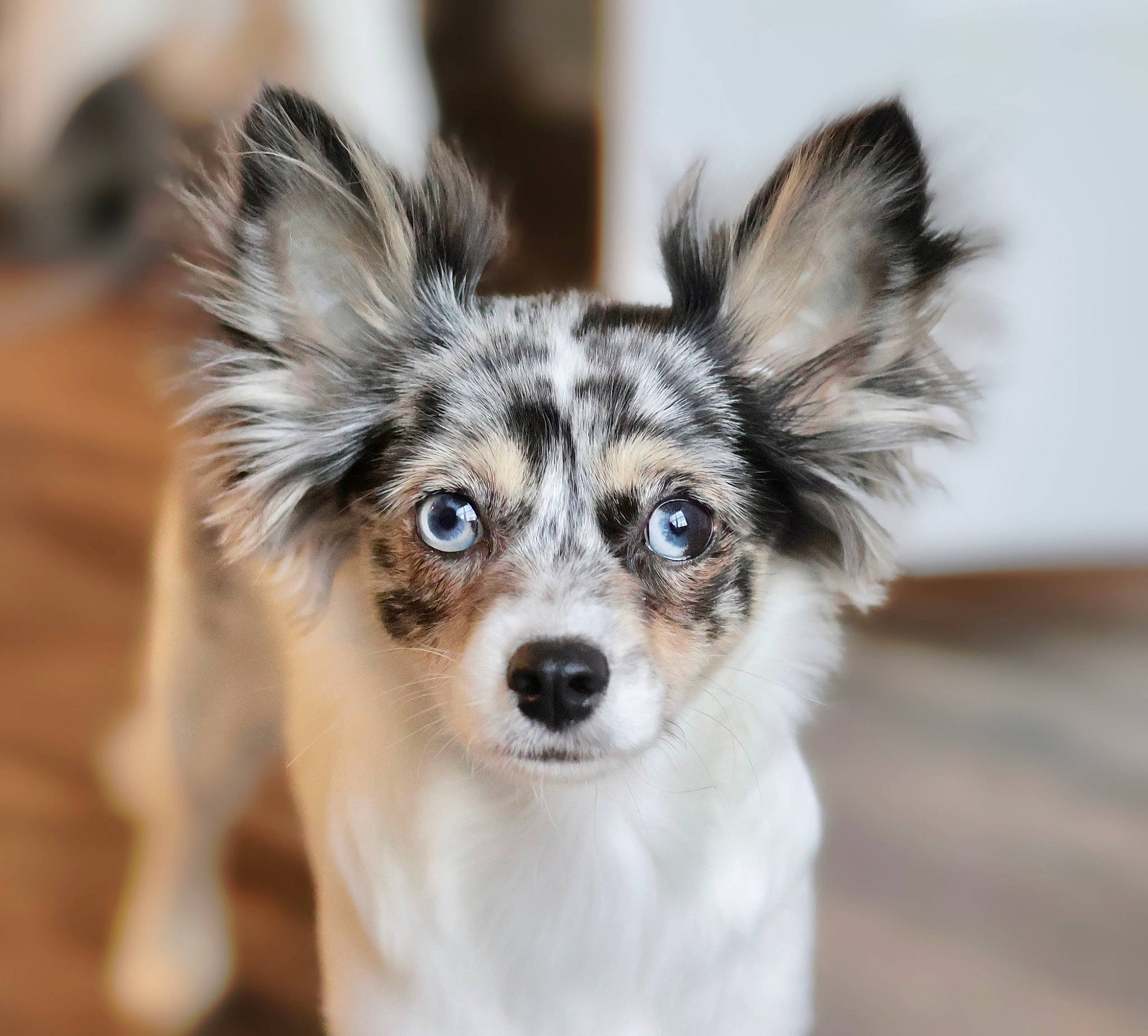 Vote Beverly Hills from Baton Rouge in Cutest Baby Contest - Win Prizes, image size:2048x1850