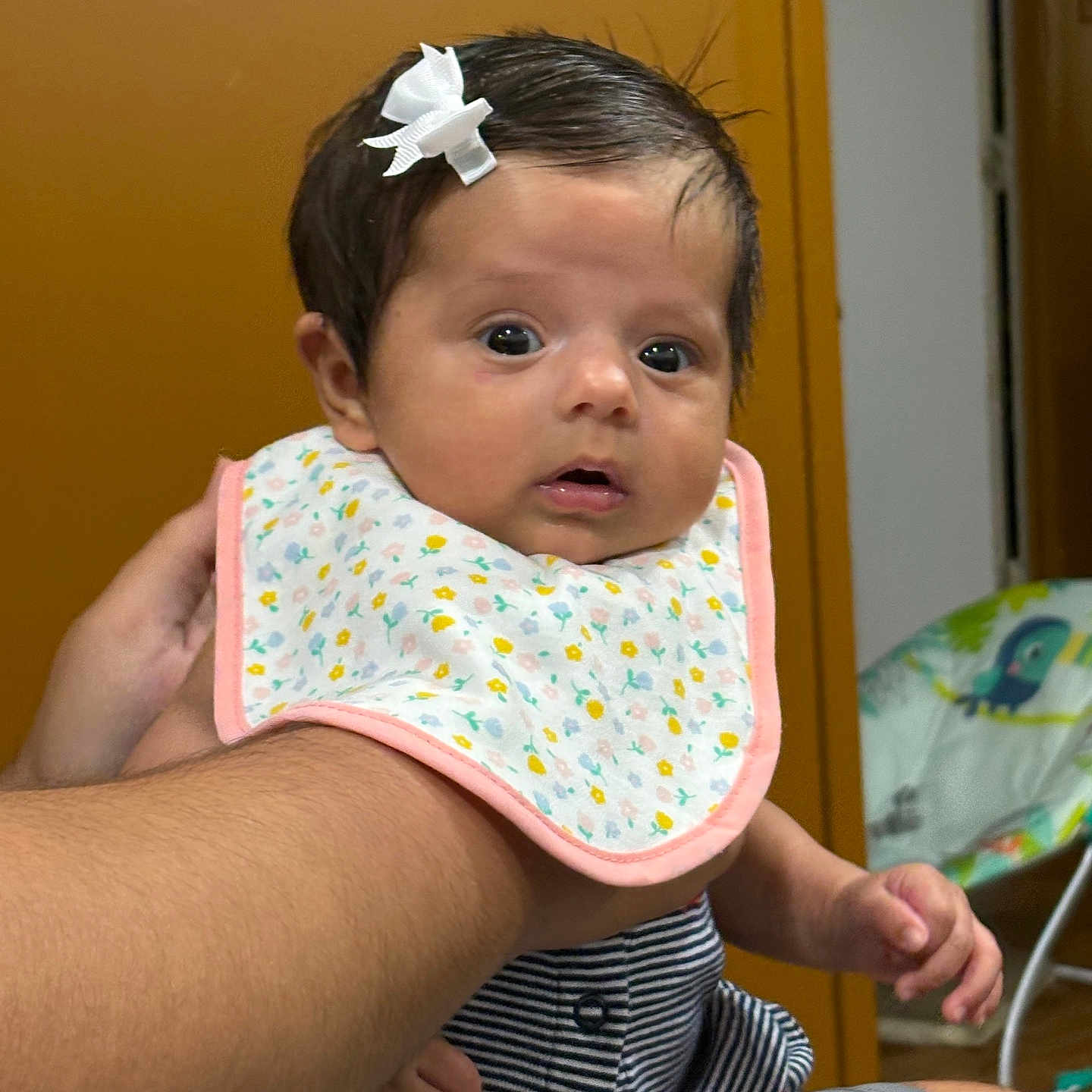 Hayami is registered to the contest to win money with this photo: animal_print, arm, baby, baby_chair, bib, child, cute, door, expression, furniture, hair_bow, hand, holding, indoor, infant, looking_at_camera, person, seated, skin, striped_clothing
