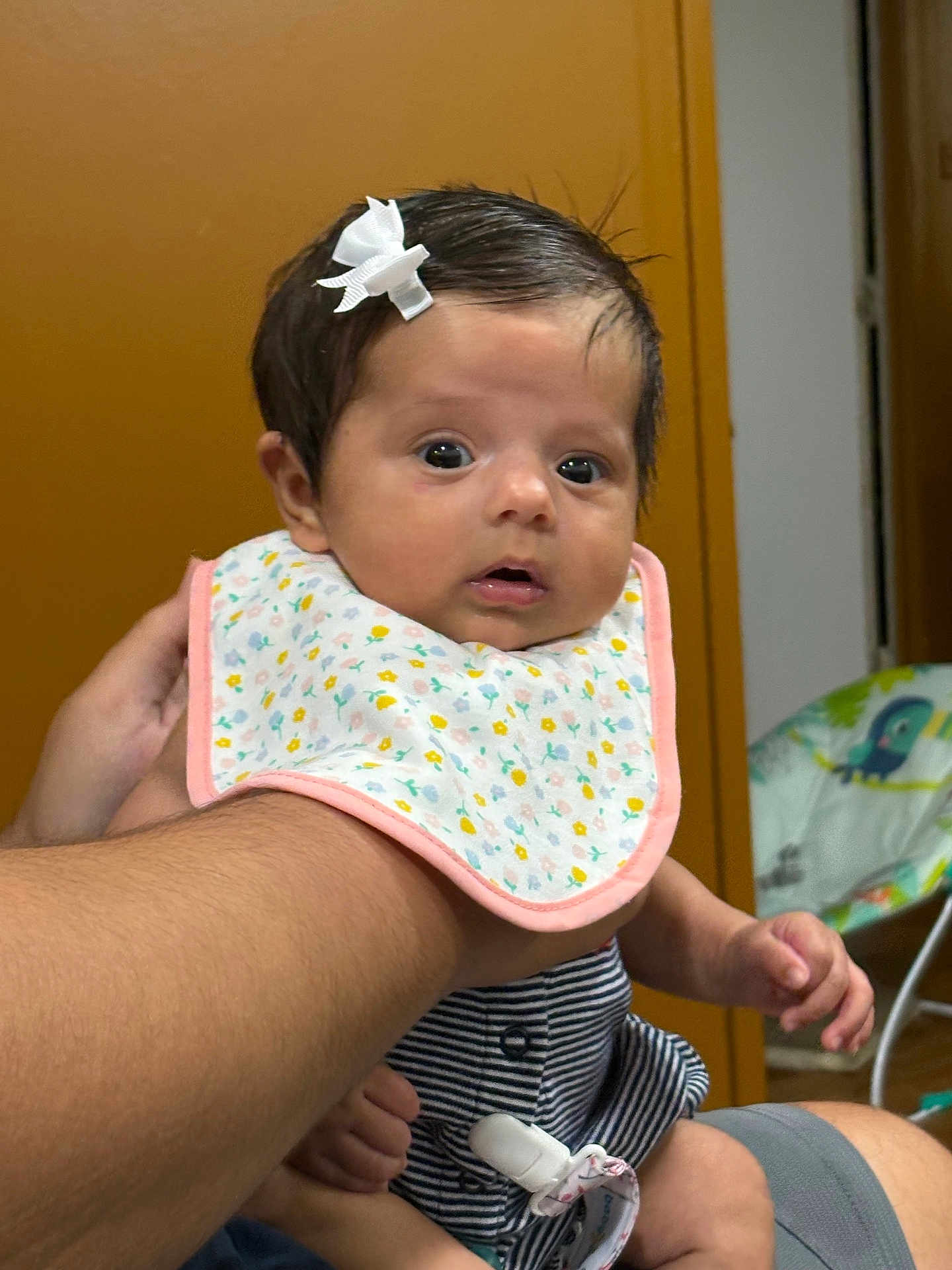 Hayami is registered to the contest to win money with this photo: baby, infant, child, person, bib, hair_bow, striped_clothing, hand, arm, indoor, door, baby_chair, animal_print, seated, looking_at_camera, holding, cute, expression, skin, furniture