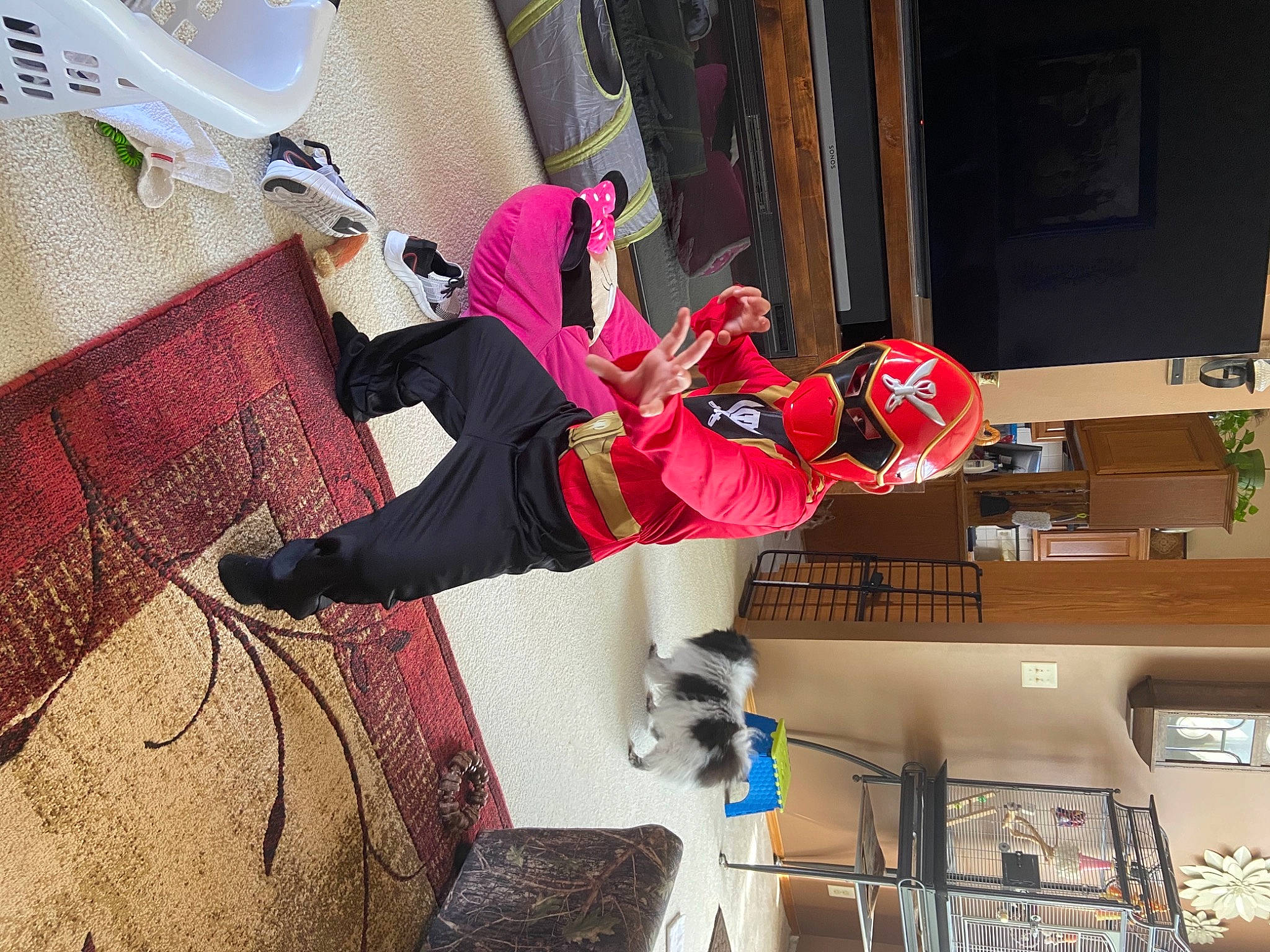 Jackson joined the competition — help win amazing prizes! boot, costume, sneakers, walking_shoe