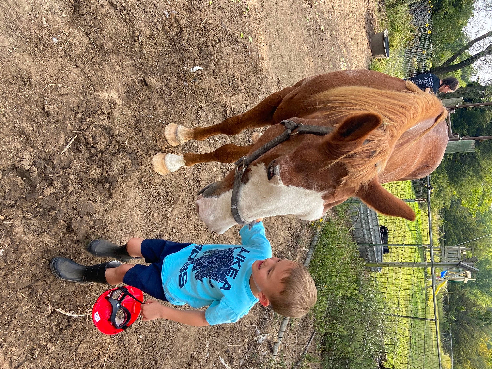 Jackson joined the competition — help win amazing prizes! baby_toddler_clothing, fawn, horse, liver, livestock, outdoor_shoe, pack_animal, people_in_nature, person, play, sand, shadow, sock, soil, sorrel, toddler, walking_shoe, working_animal