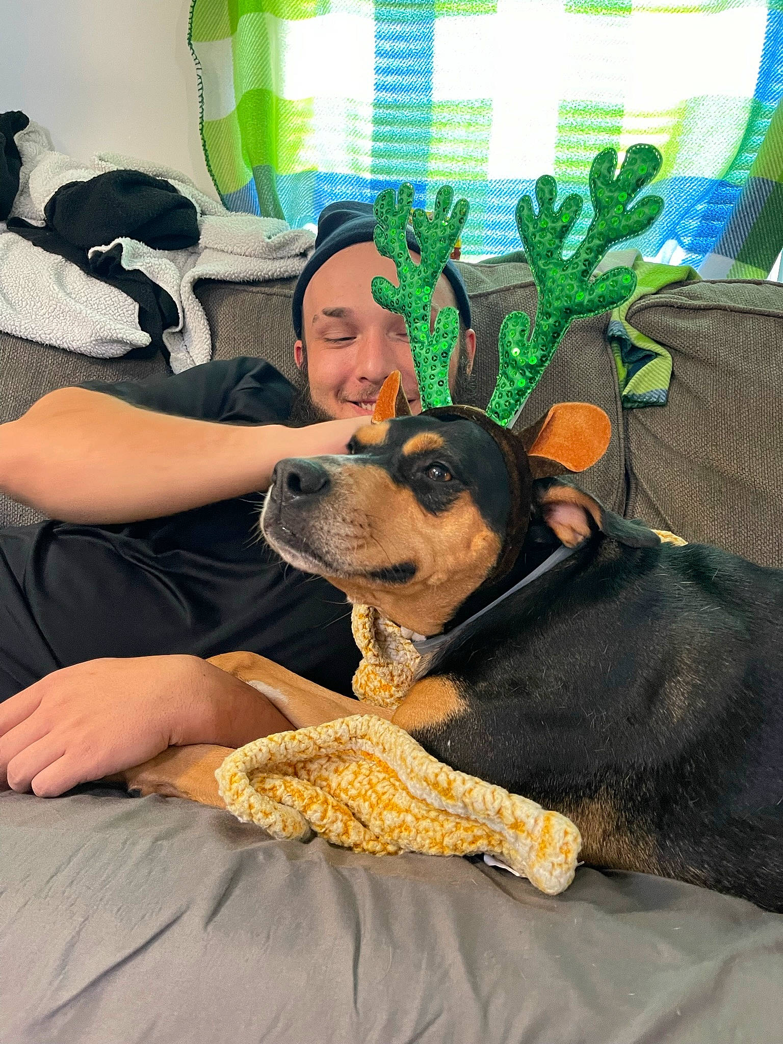 Goldie is registered to the contest to win money with this photo: baseball_cap, canidae, carnivore, comfort, companion_dog, dog, dog_breed, fawn, fun, guard_dog, happy, hat, leisure, pinscher, plant, sitting, smile, sporting_group, toy_dog, working_animal