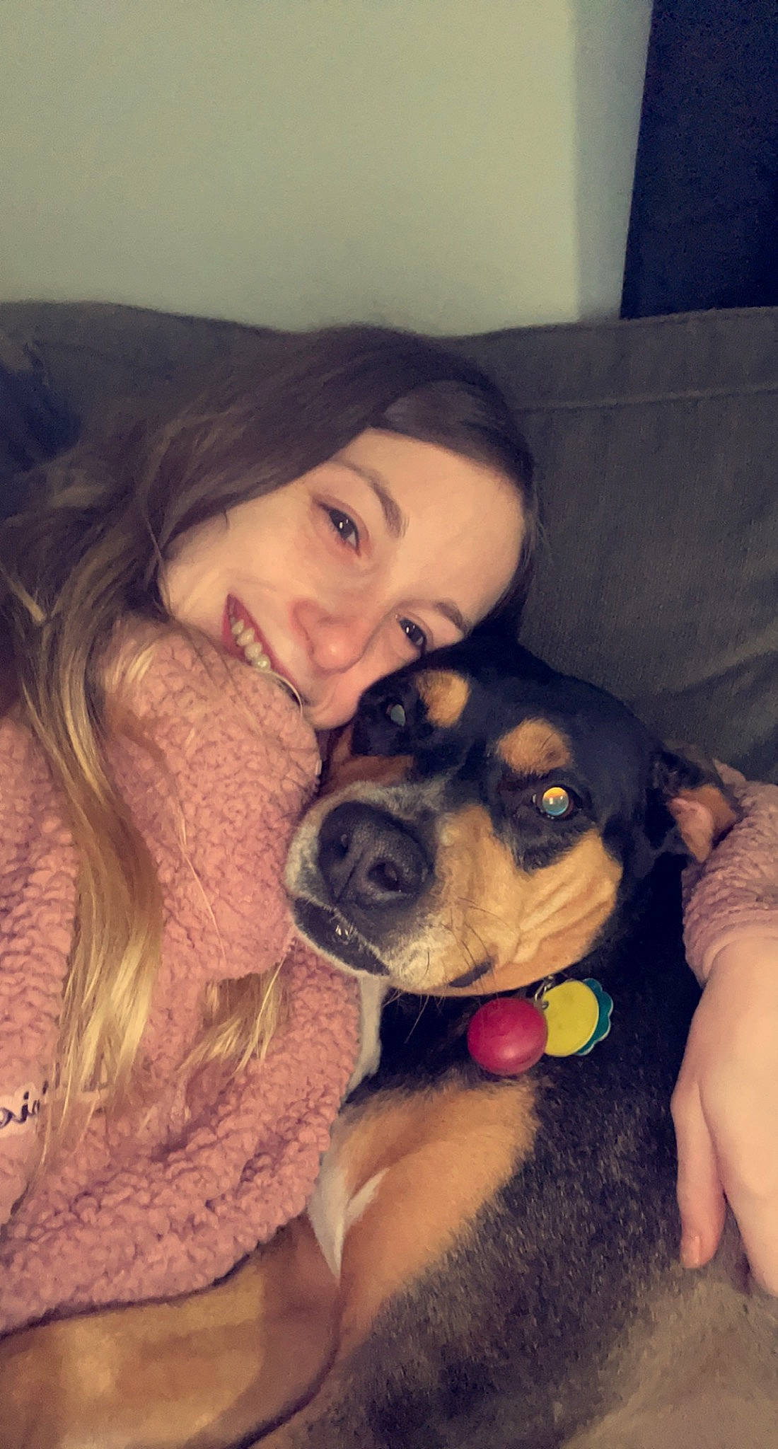 Goldie joined the competition — help win amazing prizes! black_hair, carnivore, comfort, companion_dog, cool, couch, dog, dog_breed, ear, fawn, hair, happy, iris, jaw, lap, mouth, nose, organ, skin, smile