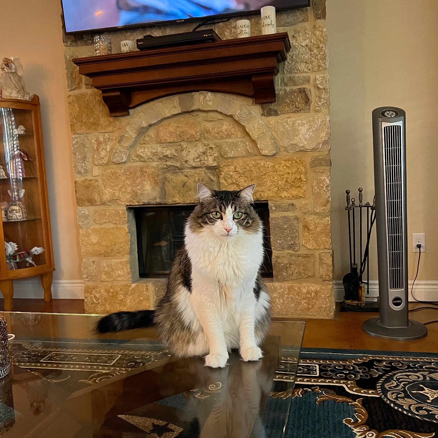 Bella
