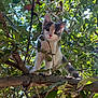 Peppa joined the competition — help win amazing prizes! cat, kitten, tree, branch, leaves, greenery, outdoor, nature, curious, animal, pet, fur, whiskers, claws, sunlight, shadow, playful, young, cute, exploration