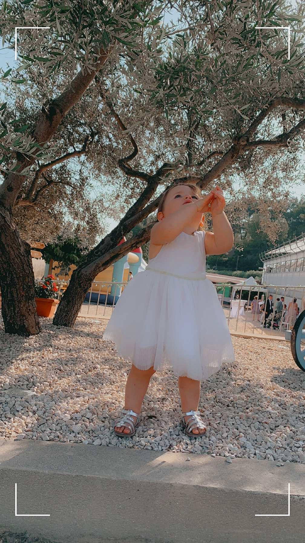 Lya participe au concours pour gagner de l'argent avec cette photo : blossom, bridal_clothing, cherry_blossom, child, dress, fashion_accessory, flash_photography, forest, gown, grass, happy, leisure, people_in_nature, person, plant, recreation, sandal, sitting, tree, twig