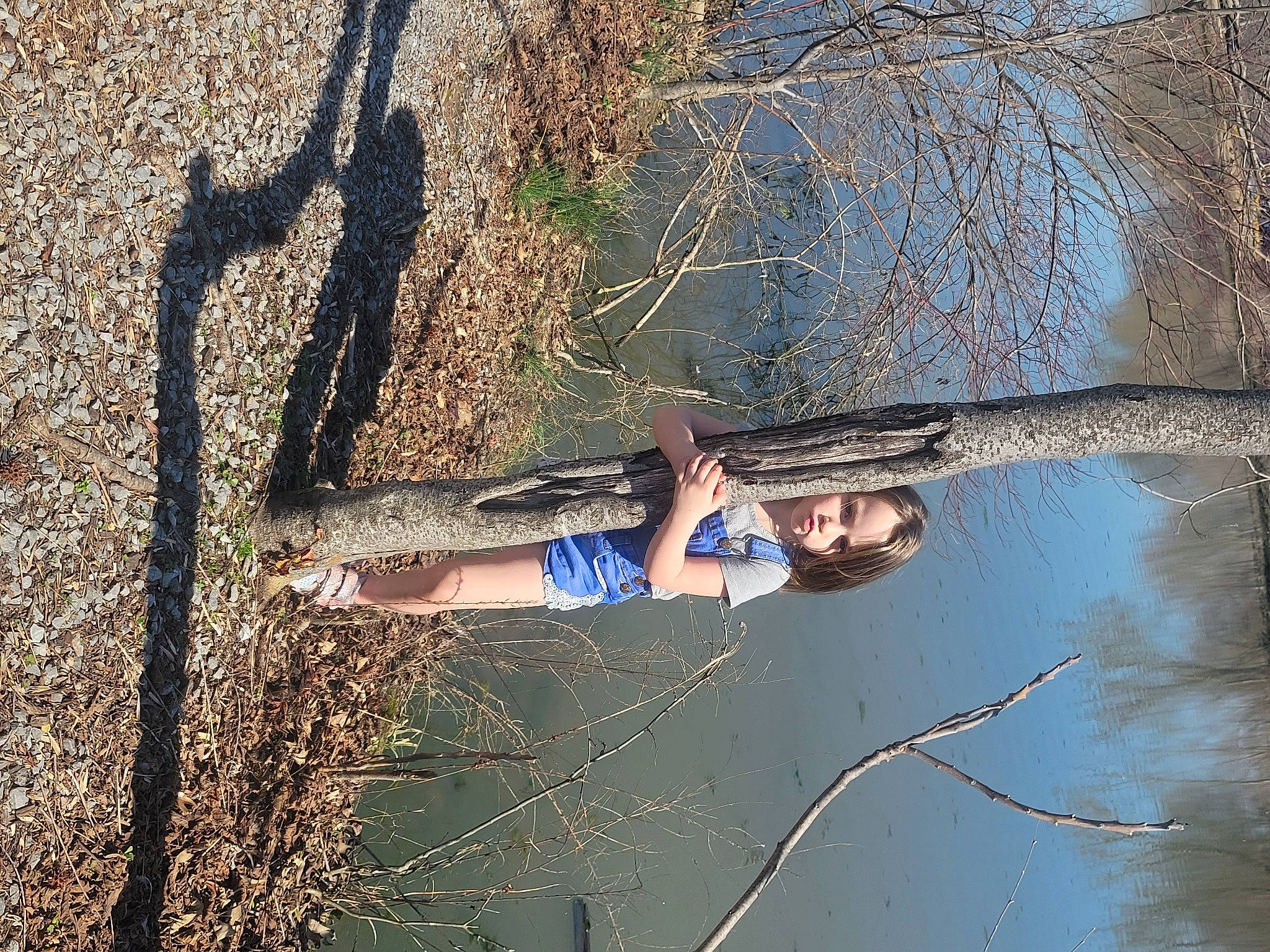 Riley joined the competition — help win amazing prizes! branch, dress, fun, grass, landscape, leisure, people_in_nature, person, plant, recreation, reflection, shadow, soil, tints_and_shades, tree, trunk, twig, water, window, wood