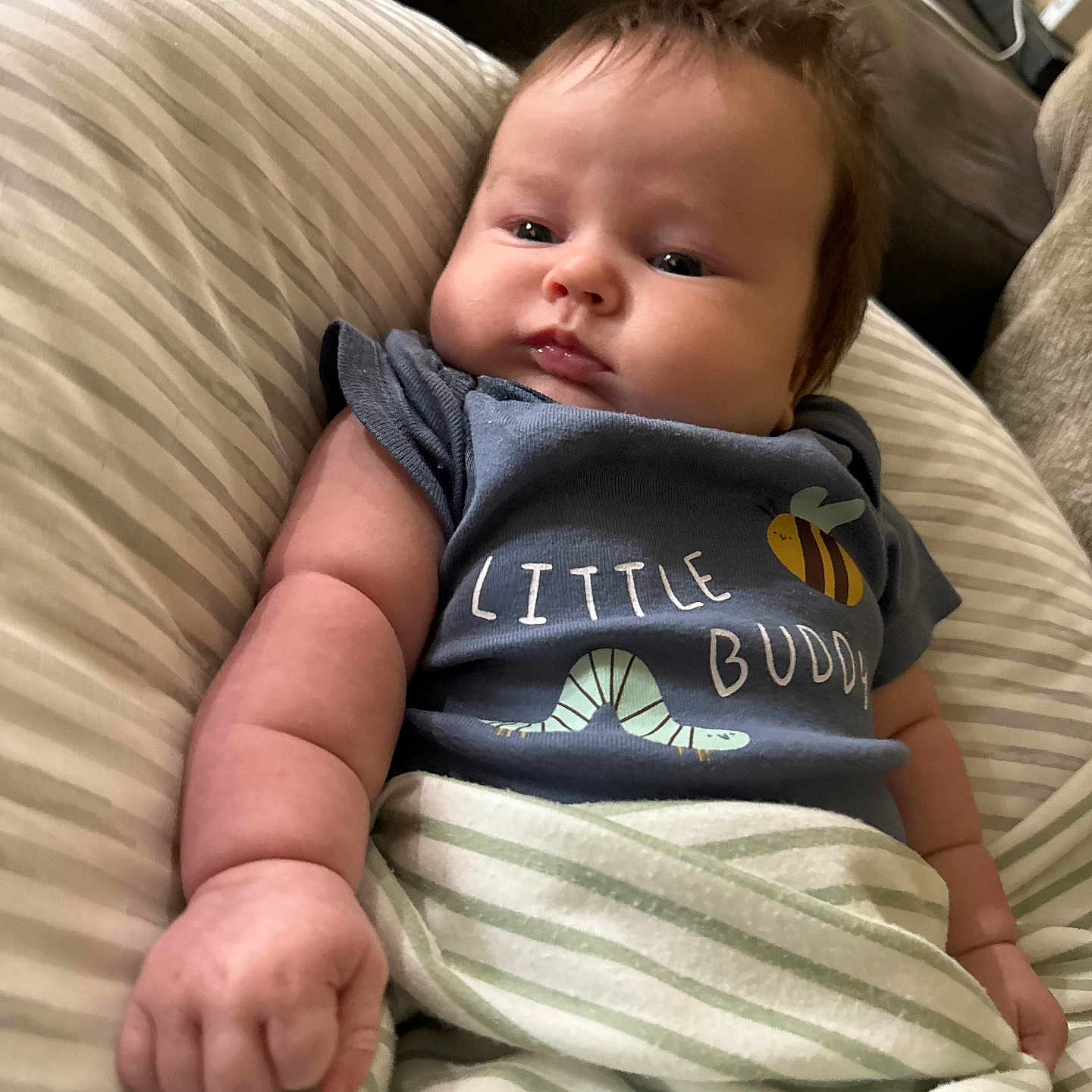 Henry joined the competition — help win amazing prizes! baby, infant, child, cute, chubby_cheeks, blue_shirt, striped_blanket, pillow, relaxed, indoor, home, person, portrait, young_child, sleepwear, comfort, cozy, soft_lighting, couch, curious