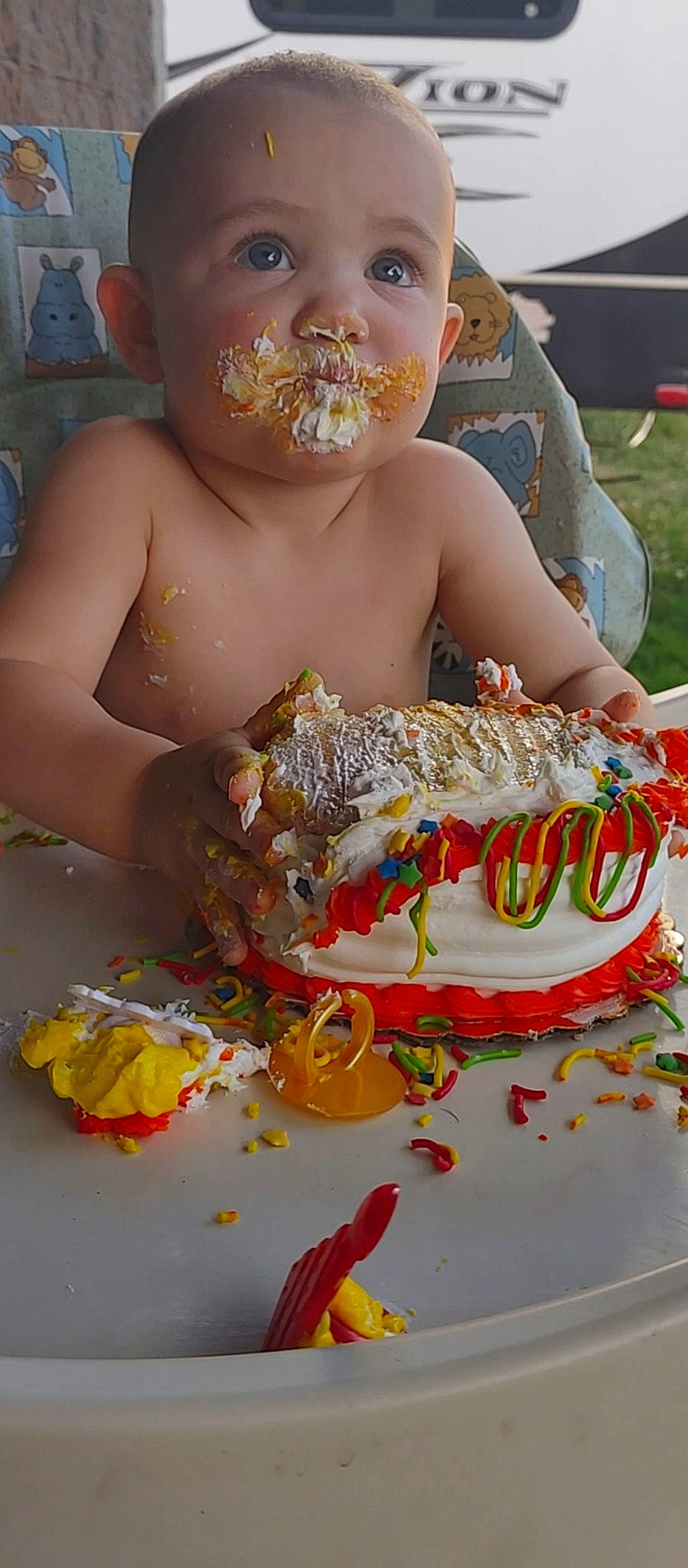 Pepper joined the competition — help win amazing prizes! barechested, birthday_cake, buttercream, cake, cake_decorating, cake_decorating_supply, chest, child, dessert, event, food, happy, icing, ingredient, junk_food, orange, person, plant, sugar_cake, sweetness