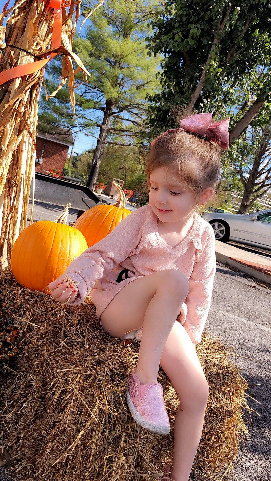 Rayden is registered to the contest to win money with this photo: backyard, calabaza, child, fawn, grass, joy, person, plant, play, pumpkin, smile, toddler, tree