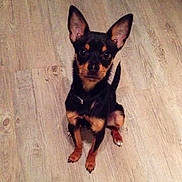 Leny a rejoint le concours — aidez-le/la à gagner de superbes lots !