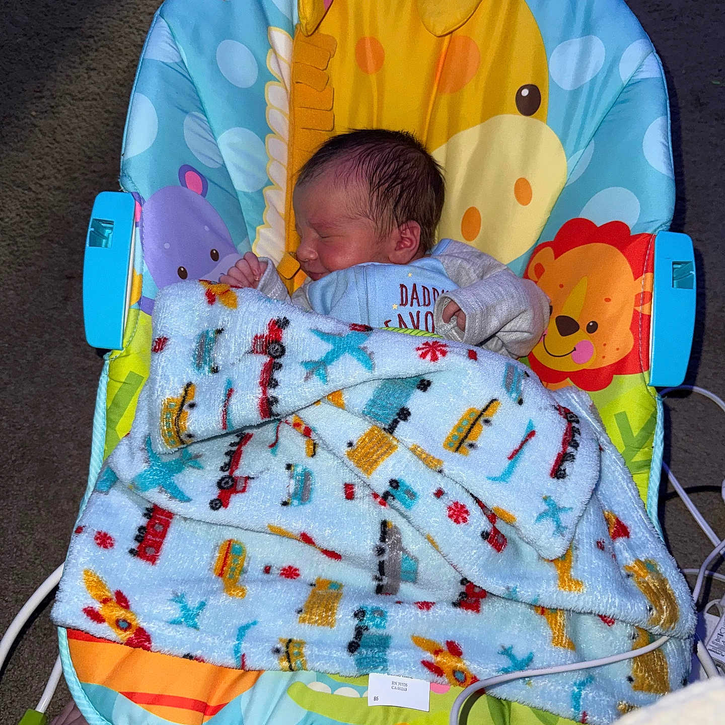 Matteo is registered to the contest to win money with this photo: newborn, baby, infant, sleeping, face, portrait, bouncer, baby_chair, blanket, swaddled, colorful, giraffe, lion, elephant, toy, indoor, carpet, furniture, cozy, parent_hand