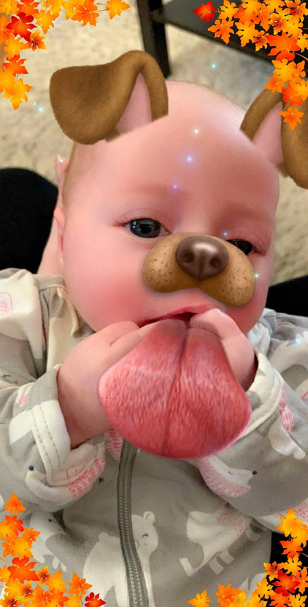 Lily Rose joined the competition — help win amazing prizes! baby, child, companion_dog, domestic_pig, ear, person, pink, plush, snout, stuffed_toy, suidae, textile, toy
