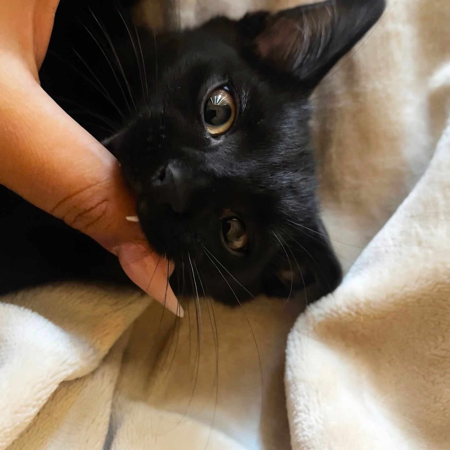 Salem