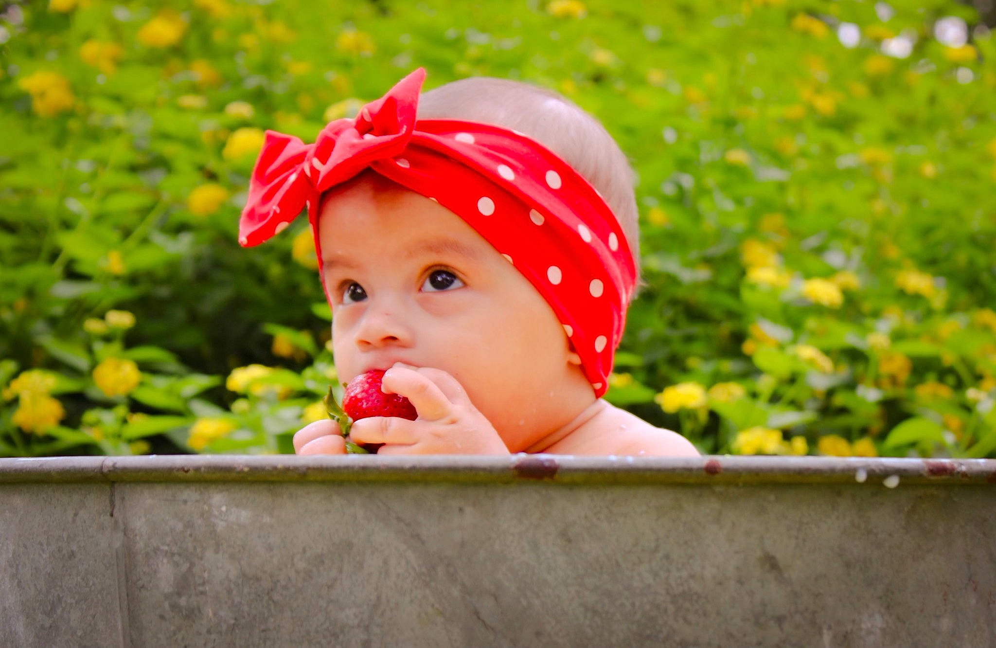 Sofia is registered to the contest to win money with this photo: baby, baby_laughing, baby_toddler_clothing, cap, child, fashion_accessory, fun, grass, happy, hat, headgear, headwear, leisure, lip, magenta, people_in_nature, person, plant, portrait_photography, recreation