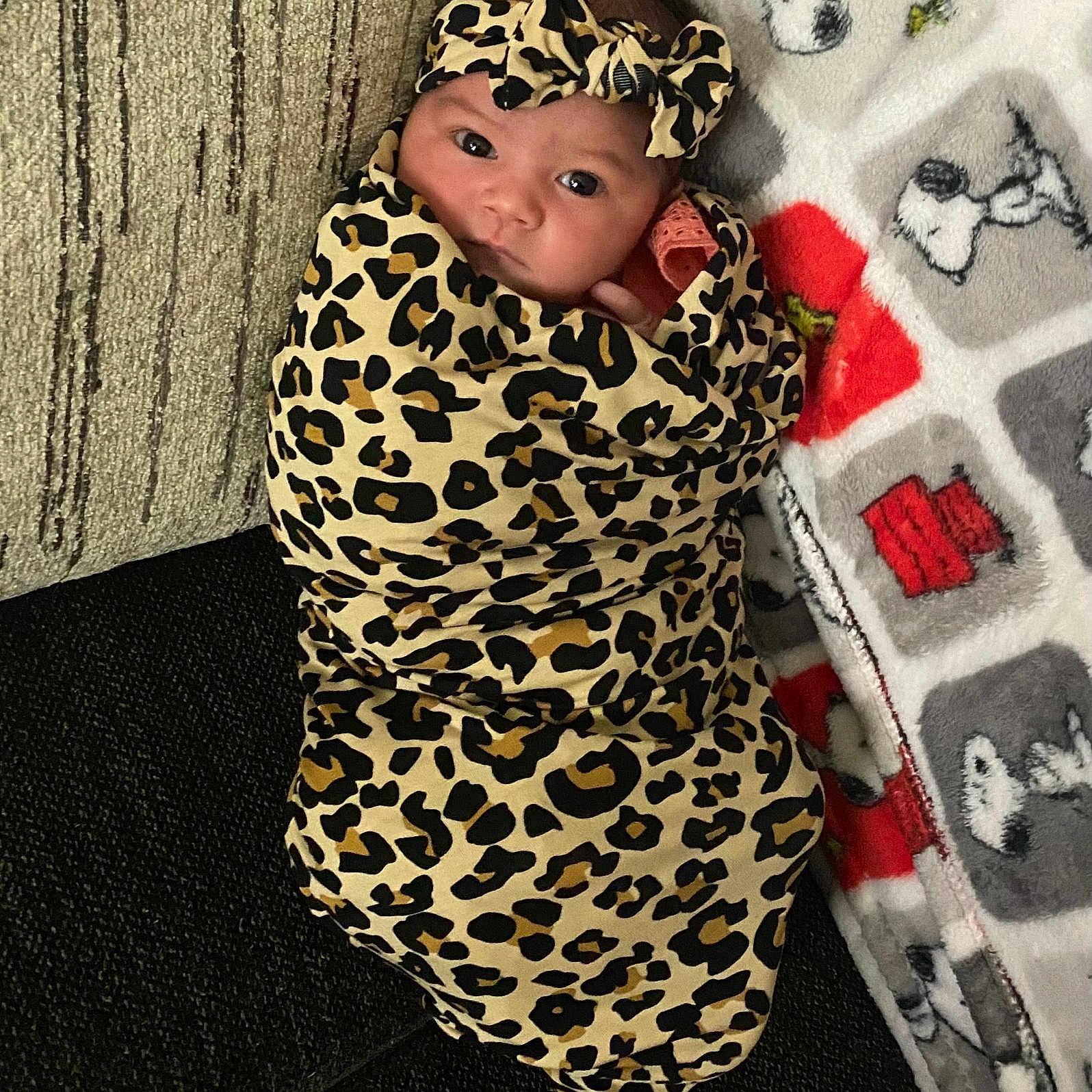 Tiffany joined the competition — help win amazing prizes! baby, blanket, face, head, person, photography, portrait, quilt