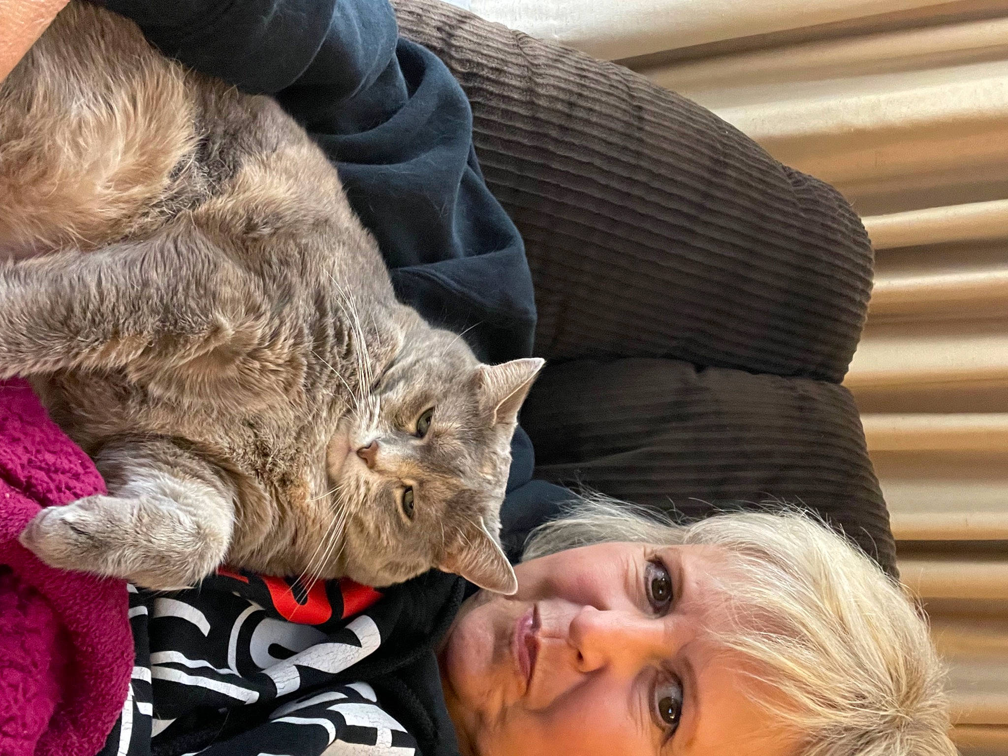 Puddy joined the competition — help win amazing prizes! carnivore, cat, child, comfort, domestic_short_haired_cat, ear, fawn, felidae, fur, gesture, happy, interaction, lap, nap, paw, sitting, skin, small_to_medium_sized_cats, whiskers, wrinkle