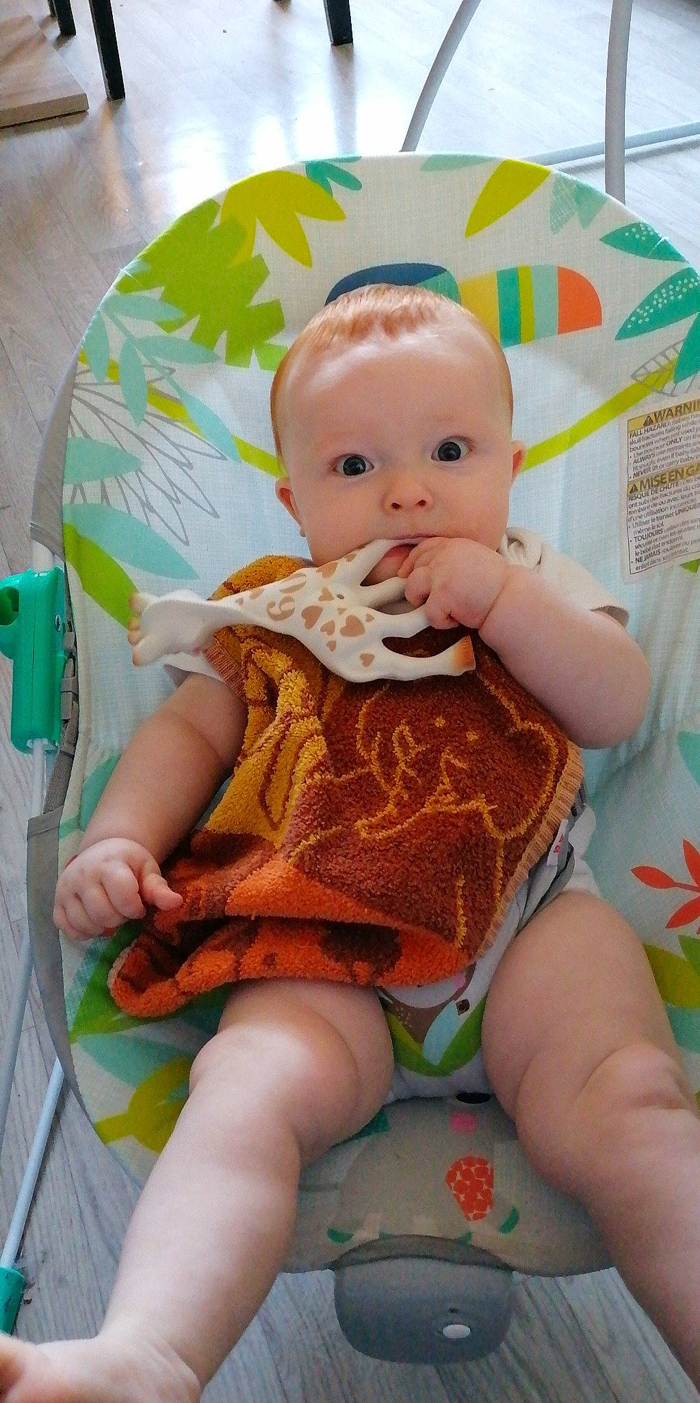 Bellamy participe au concours pour gagner de l'argent avec cette photo : abdomen, baby, baby_products, baby_toddler_clothing, cheek, child, comfort, doll, happy, human_leg, iris, lap, pattern, person, pink, sitting, skin, thigh, toddler, toy