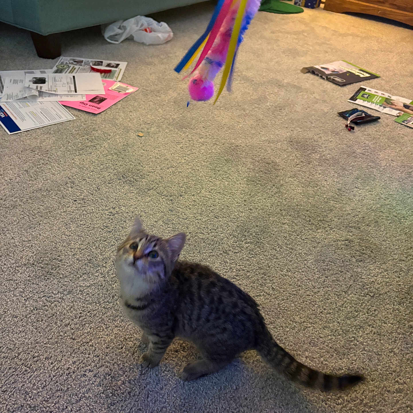 Tigger