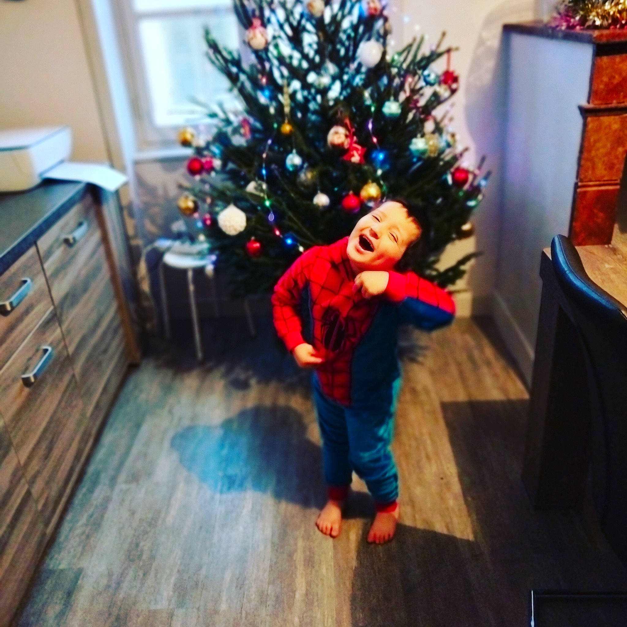 Lorenzo participe au concours pour gagner de l'argent avec cette photo : cabinetry, christmas, christmas_decoration, christmas_eve, christmas_ornament, christmas_tree, drawer, floor, flooring, hardwood, holiday, holiday_ornament, home, interior_design, ornament, person, room, wood, wood_flooring, wood_stain