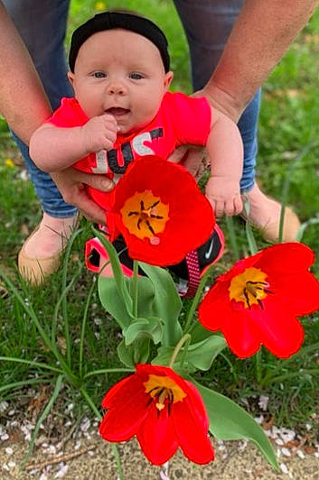 Jacey is registered to the contest to win money with this photo: anemone, child, coquelicot, flower, flowering_plant, lily_family, person, petal, plant, plant_stem, play, poppy, poppy_family, toddler, tulip, wildflower