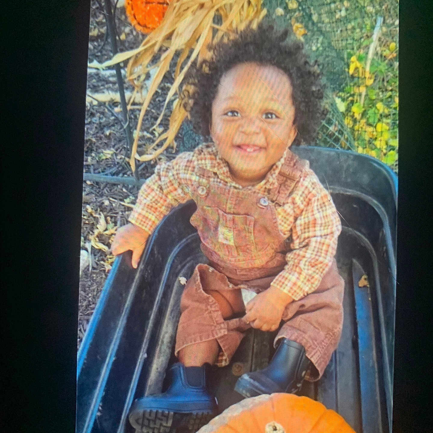 Kai Arnold is registered to the contest to win money with this photo: autumn, boots, child, curly_hair, cute, dried_cornstalks, fall, happy, leaves, nature, outdoor, overalls, person, playful, pumpkin, seasonal, smile, toddler, wagon, young_child