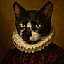 cat, portrait, costume, renaissance, ruffled_collar, black_and_white, animal, pet, feline, clothing, historical, studio, indoor, face, closeup, expression, artistic, fashion, mystical, serious