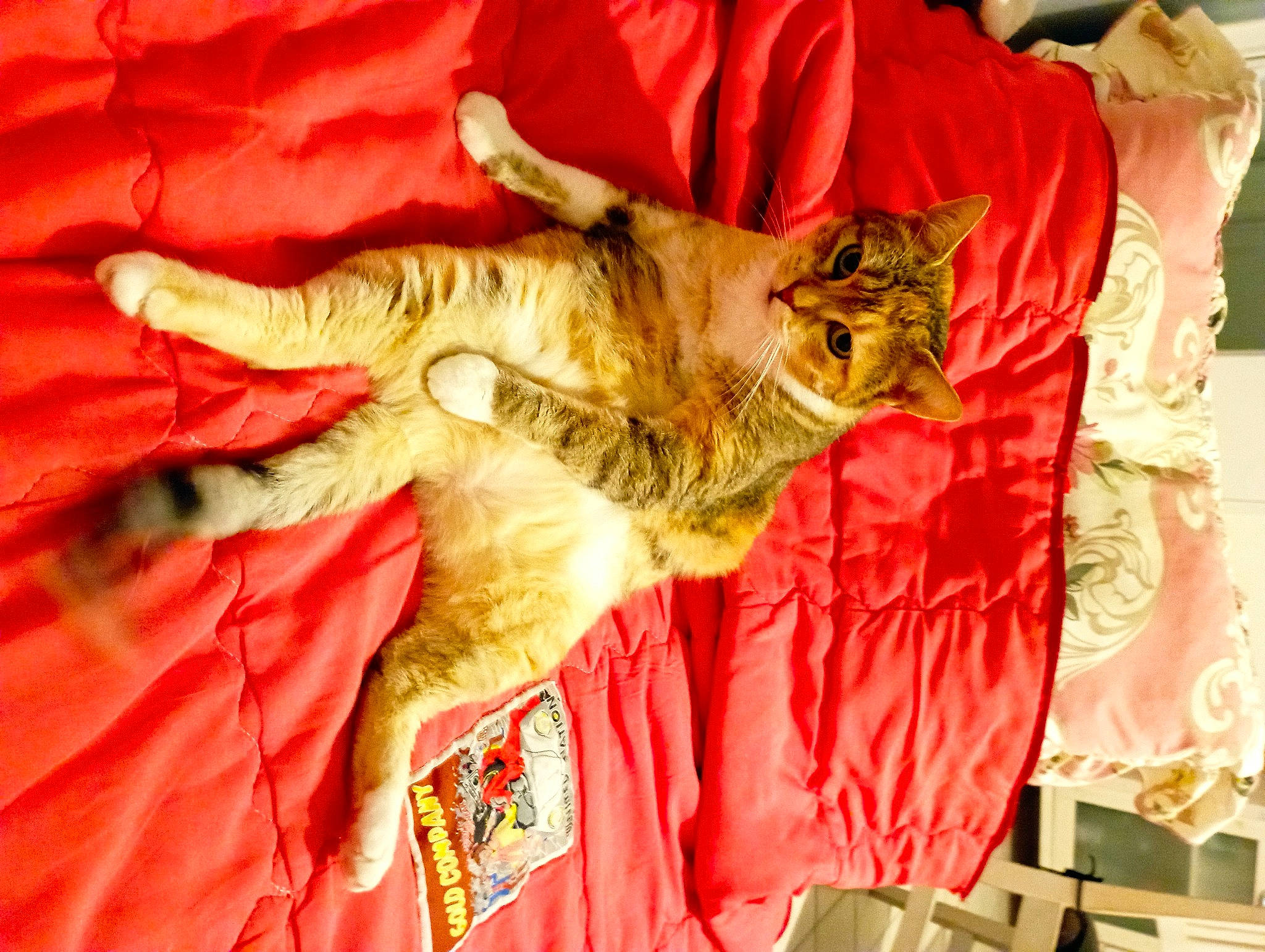 Minette