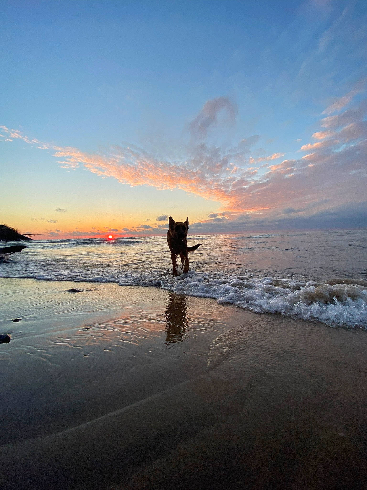 Nova is registered to the contest to win money with this photo: beach, carnivore, cloud, dog, dog_breed, dusk, fun, horizon, lake, landscape, people_in_nature, reflection, sand, shore, sky, sunrise, sunset, water, wave, wind_wave