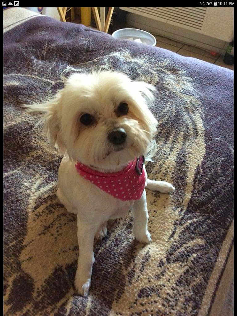Bella
