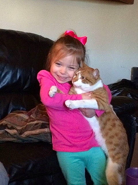 Whisper joined the competition — help win amazing prizes! carnivore, cat, child, ear, european_shorthair, felidae, fur, hug, kitten, lap, leg, pink, play, skin, small_to_medium_sized_cats, tabby_cat, tail, toddler, whiskers