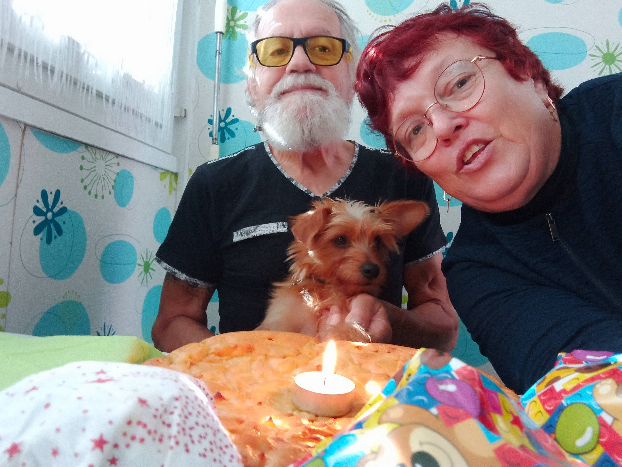 Zéphir a rejoint le concours — aidez-le/la à gagner de superbes lots ! beard, carnivore, child, companion_dog, dog, dog_breed, event, eyewear, facial_hair, fawn, fun, glasses, happy, hat, people, sharing, snapshot, t_shirt, toy_dog, vision_care