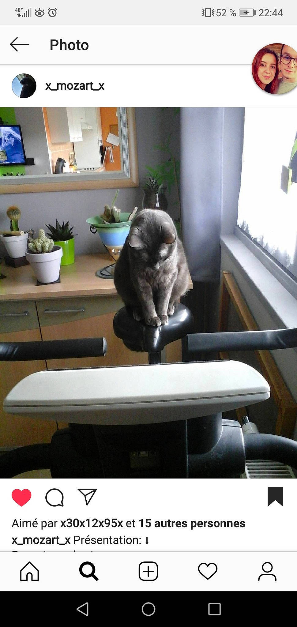 Mozart participe au concours pour gagner de l'argent avec cette photo : cat, coffee_table, font, fur, furniture, headwear, interior_design, joy, living_room, person, photo_caption, photography, room, table